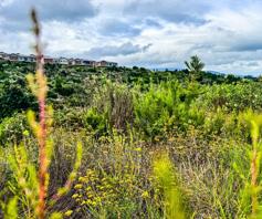 Vacant Land / Plot for sale in Welgelegen