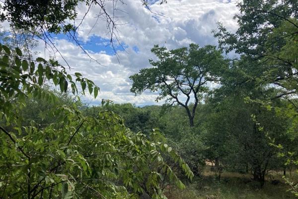 A great stand with big trees and mountain view. Discover your ideal lifestyle at Elephant Rock Eco Estate, where nature meets modern ...