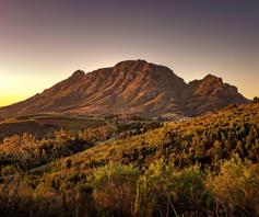 Vacant Land / Plot for sale in Stellenbosch Farms