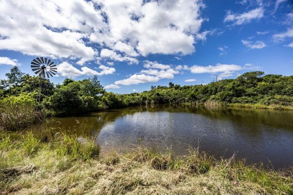 Lifestyle &amp; Business Potential with Stunning views of the Nahoon Dam.

Discover the perfect blend of tranquility and opportunity ...