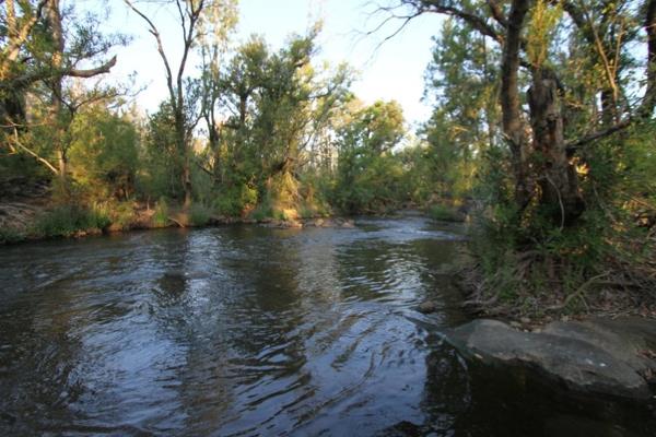 This vacant land is situated on the serene banks of the Blyde River, offering stunning natural beauty and tranquillity. Nestled within ...