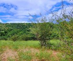 Vacant Land / Plot for sale in Elephant Rock Eco Estate