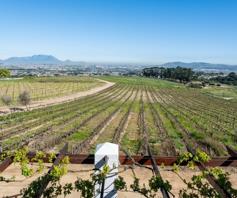 Farm for sale in Stellenbosch Farms