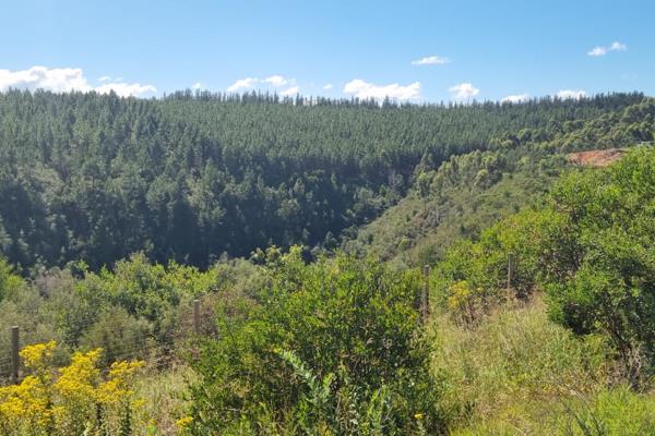 Secure Golf Estate Property with Breath-taking Views

Simola Golf Estate, Knysna. A Garden Route Paradise.

Imagine a life where ...