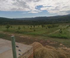 Farm for sale in Loerie River AH