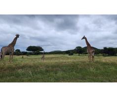 Vacant Land / Plot for sale in Intaba-Indle Wilderness Estate