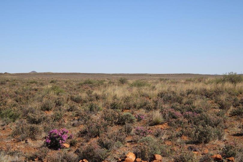 Farm for sale in Victoria West Rural - P24-113877129