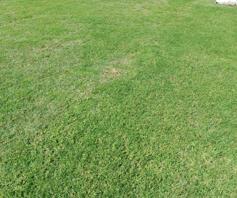 Vacant Land / Plot for sale in Komati