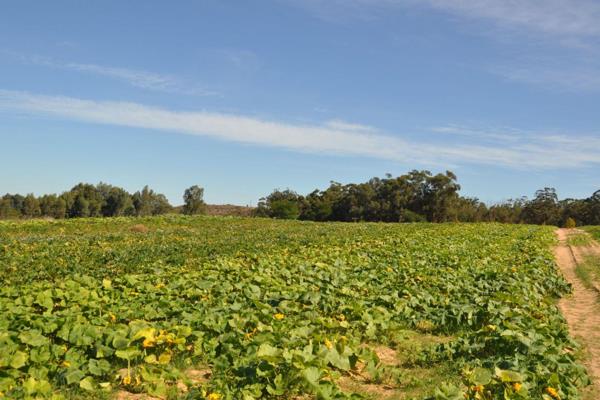 Sole Mandate!
This is your key to the country dream — a rare opportunity to own a versatile mixed-use farm in the heart of the West ...