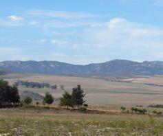 Vacant Land / Plot for sale in Tierfontein AH