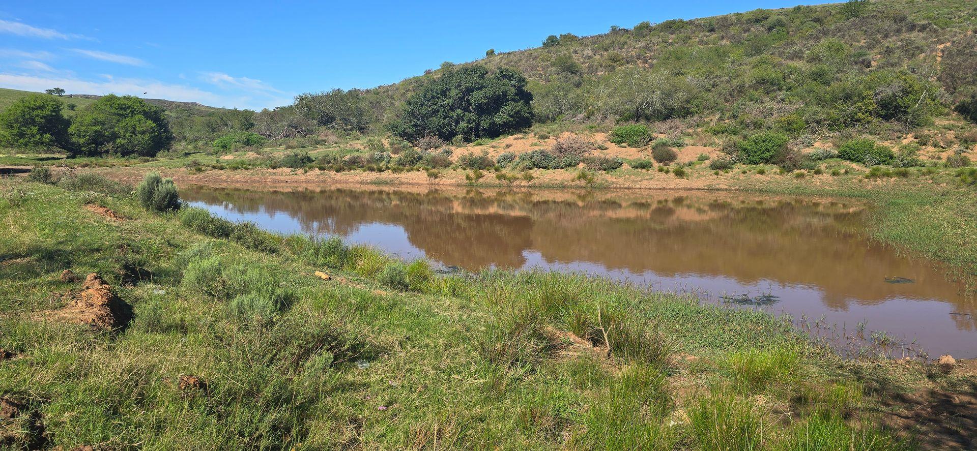 Photo of Farm for sale in Heidelberg Rural