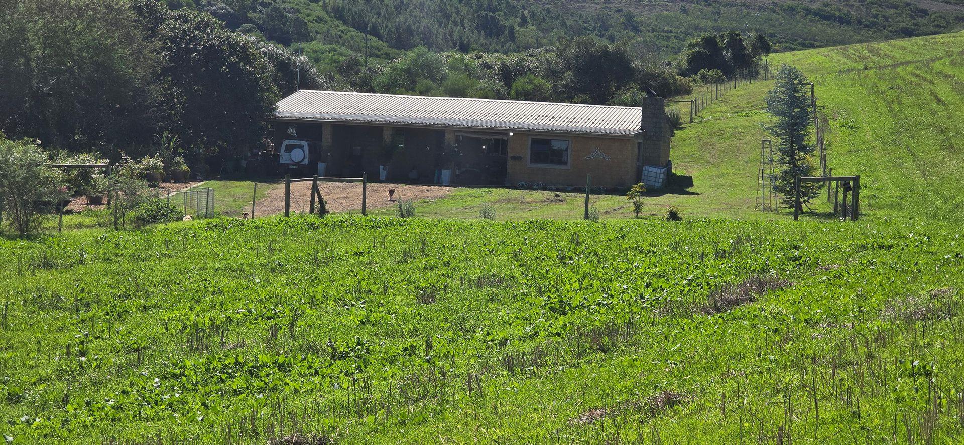 Photo of Farm for sale in Heidelberg Rural