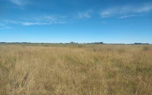 Farm for sale in Koppies