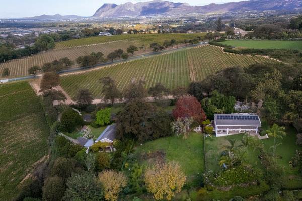 EXCLUSIVE SOLE MANDATE
Nestled in a leafy cul-de-sac, with the renowned Groot Constantia wine estate right on your doorstep.

The ...