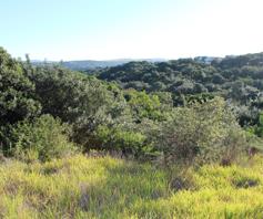Vacant Land / Plot for sale in Kleinemonde