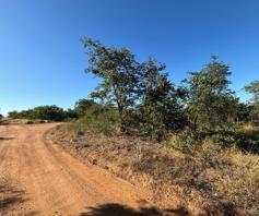 Vacant Land / Plot for sale in Phalaborwa