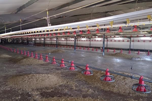 **Expansive Poultry Farm with 24 Hectares of Irrigated Land**

**Price: R26,980,000 PLUS VAT - Offered as a Going Concern**

This ...