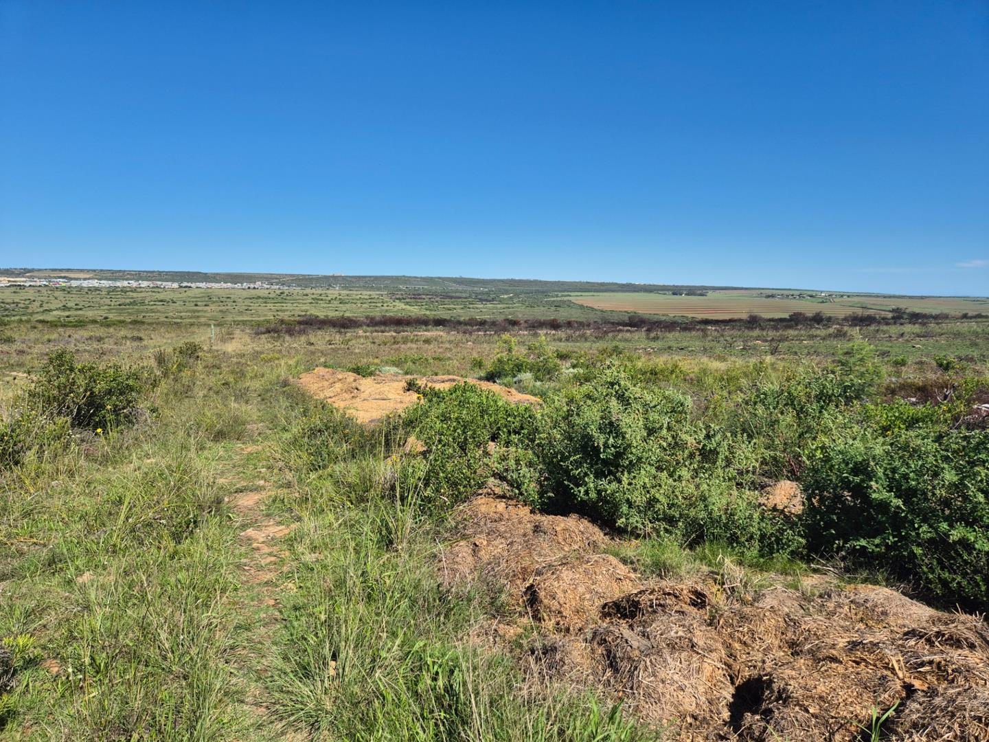 Photo of Farm for sale in Aalwyndal