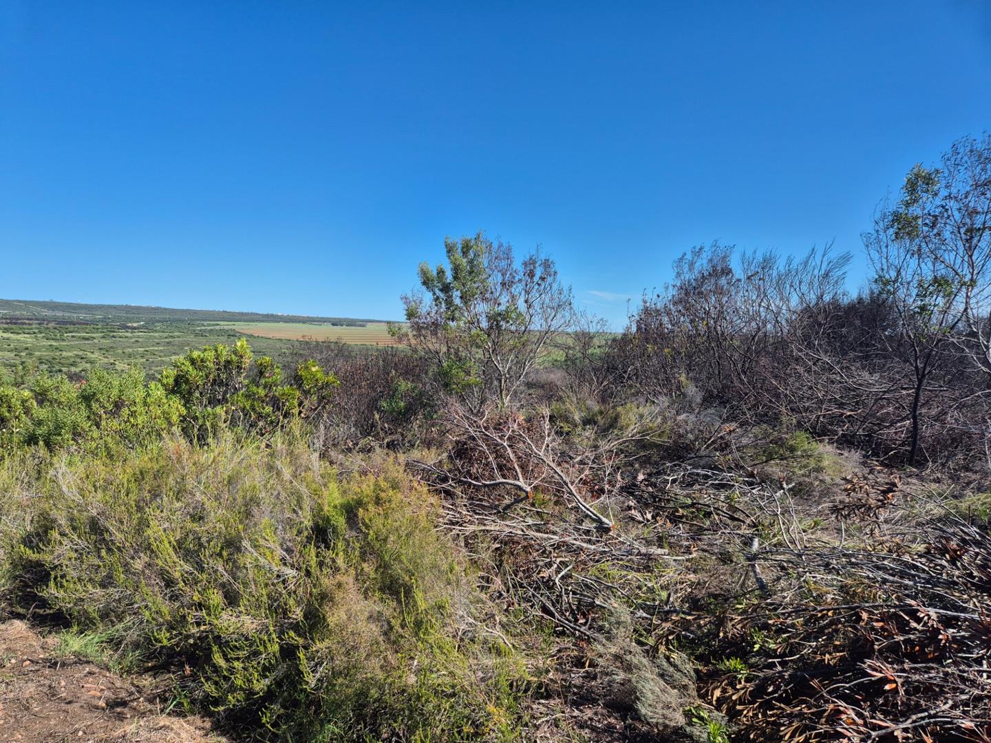 Photo of Farm for sale in Aalwyndal