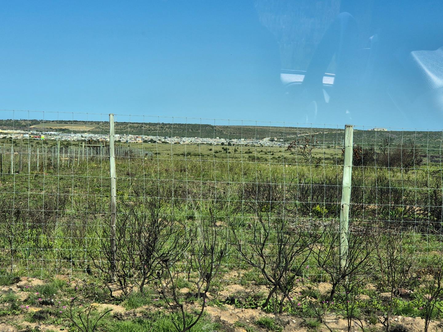 Photo of Farm for sale in Aalwyndal