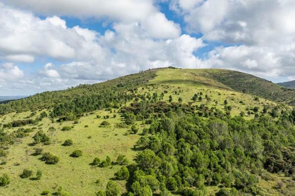 A beautiful 759ha (2 titles) farm situated just South of Grahamstown. This property adjoins the Thomas Baines Nature Reserve and ...