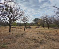 Commercial Property for sale in Hoedspruit