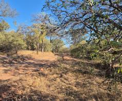 Vacant Land / Plot for sale in Elephant Rock Eco Estate