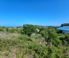 Vacant Land / Plot for sale in Oyster Bay