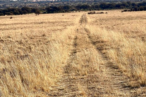 Currently, the farm is used as a game farm, but cattle and sheep farming are also done. The property also serves as a guest farm with 2 ...