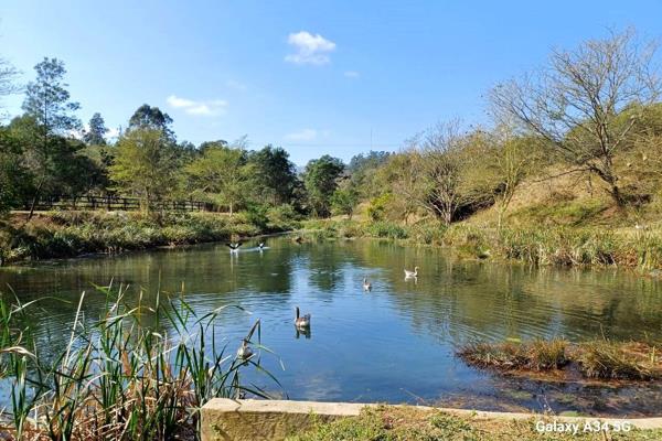 DRUMMOND FARM located in close proximity to N3 comprising 37acres of glorious real estate with 6 registered subdivisions – to be sold ...
