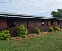 Farm for sale in Pretoria North