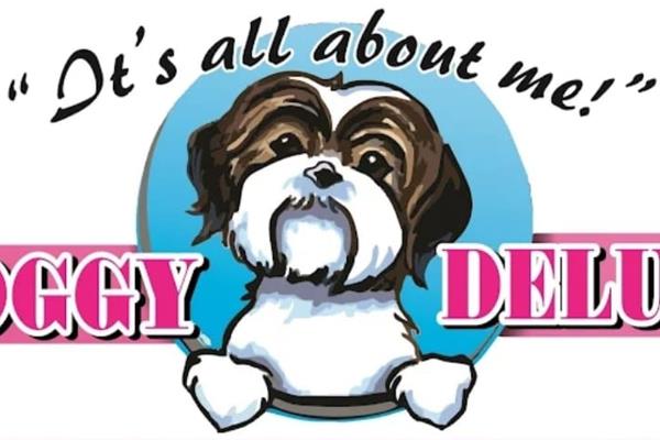 Business oppertunity  - doggy parlour for sale
buy this establish dog grooming salon 
good business opportunity 
grooming salon ...