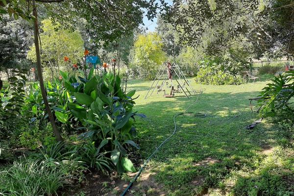 Smallholding for Sale
This is the perfect renovator’s dream to accommodate the entire extended family and all their pets - her in-laws ...