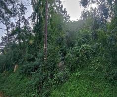 Vacant Land / Plot for sale in Westville