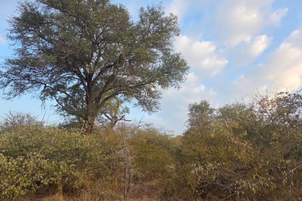 Raptors View Wildlife Estate offers exclusive low density bushveld living in a secure, 1100-hectare wildlife estate in Hoedspruit. This ...