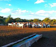 Farm for sale in Douglas