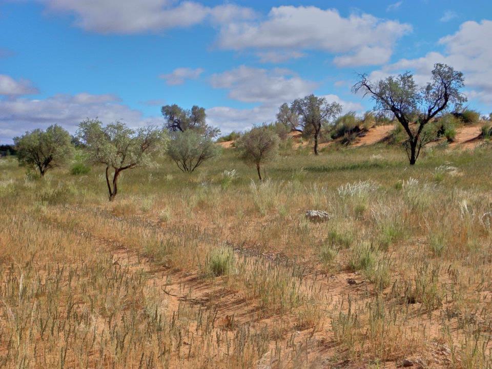 Farm for sale in Upington Rural - P24-116028208