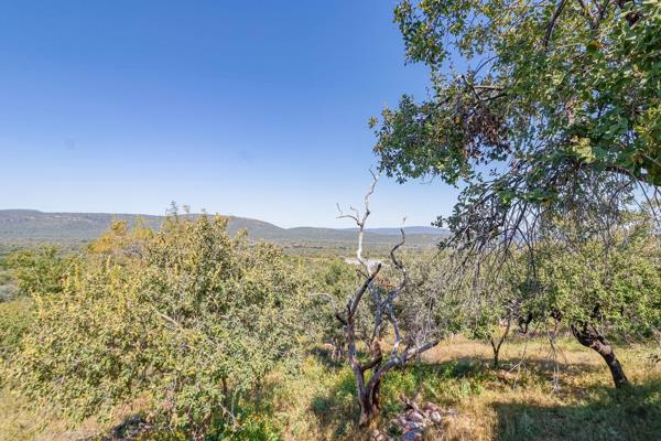 If you dream of owning a game farm where you can break away into pristine nature without the responsibility of managing it yourself – ...