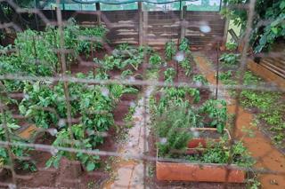 Thumbnail 45