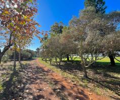 Farm for sale in Stellenbosch Farms