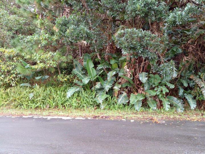 Listing number: P24-116076080, Image number: 2
