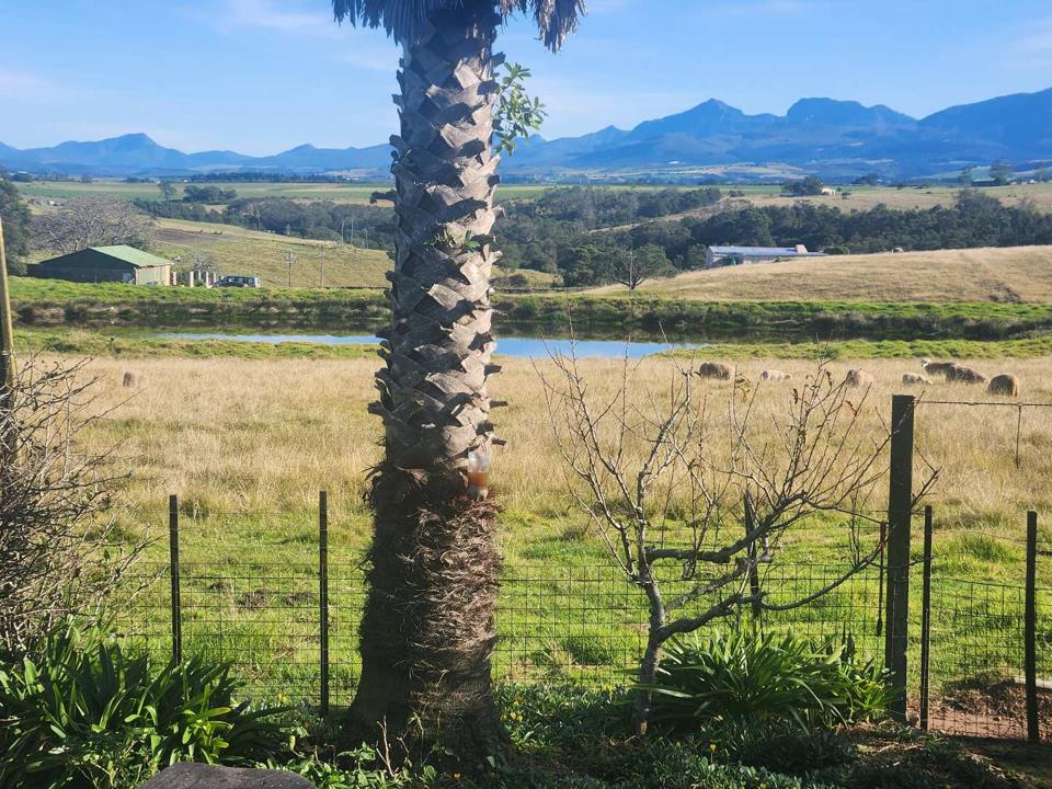Farm for sale in George Rural - P24-116100696