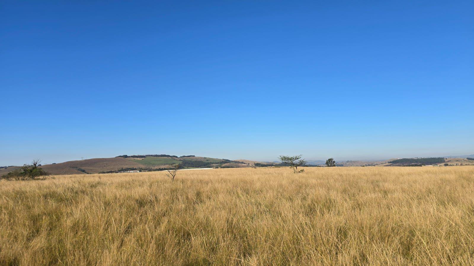 Vacant land / plot for sale in Cato Ridge - P24-116117537