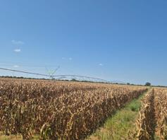 Farm for sale in Lephalale