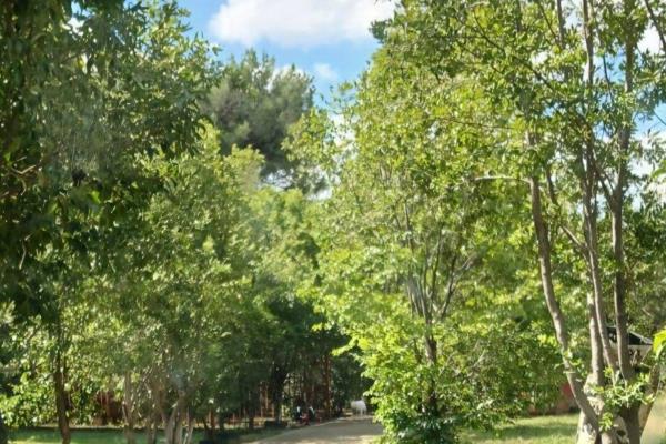 Your private Oasis awaits! Discover an extra ordinary opportunity to own a picturesque 1.2 hectare smallholding, a true hidden gem ...