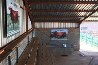 Thumbnail 59