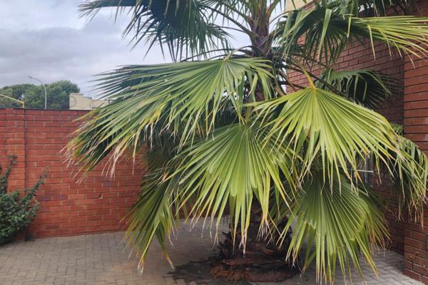 Beautiful 2 Bedroom Town House to let in Westdene, Kellner 87, Unit no 7
This Beautiful ...