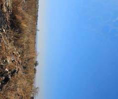 Vacant Land / Plot for sale in Villa Liza