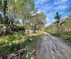 Vacant Land / Plot for sale in Trafalgar