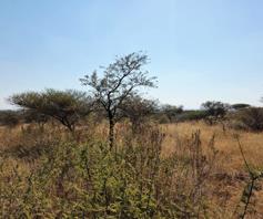 Farm for sale in Roodepoort AH